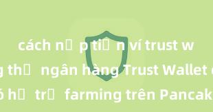 cách nạp tiền ví trust wallet bằng thẻ ngân hàng Trust Wallet có hỗ trợ farming trên PancakeSwap không?